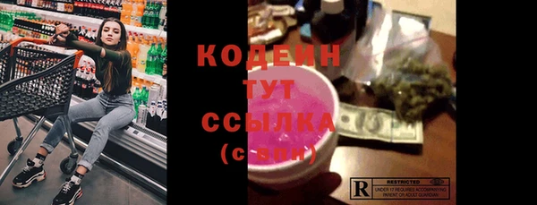 прущий лед Вяземский