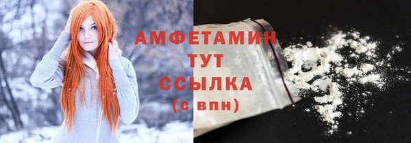 прущий лед Вяземский