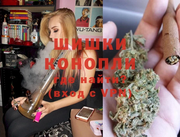 прущий лед Вяземский