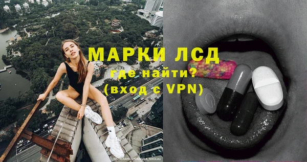 прущий лед Вяземский