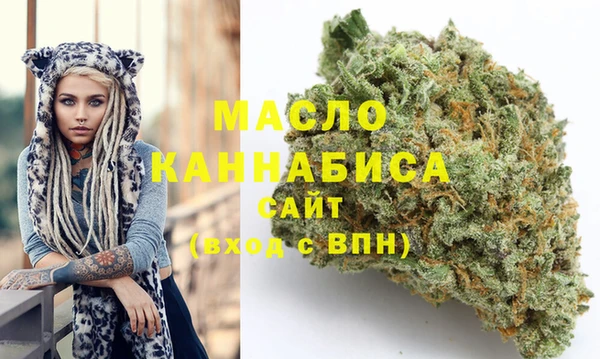 прущий лед Вяземский
